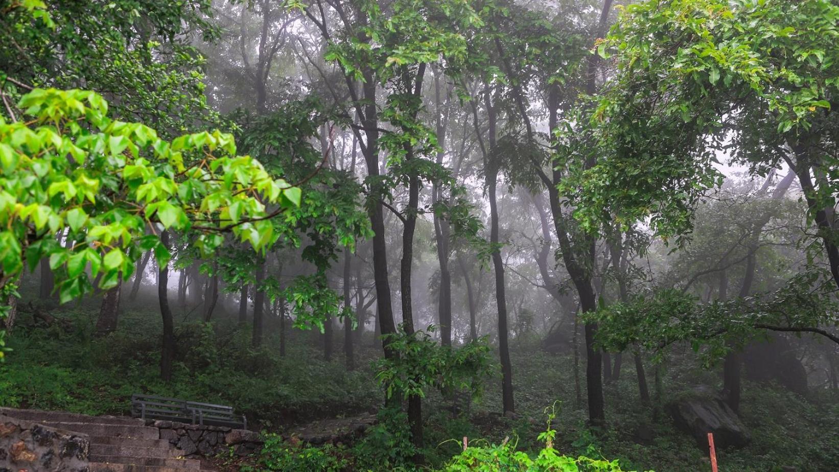 Misty Green Hills Parks & Resorts Kondotty Exterior foto