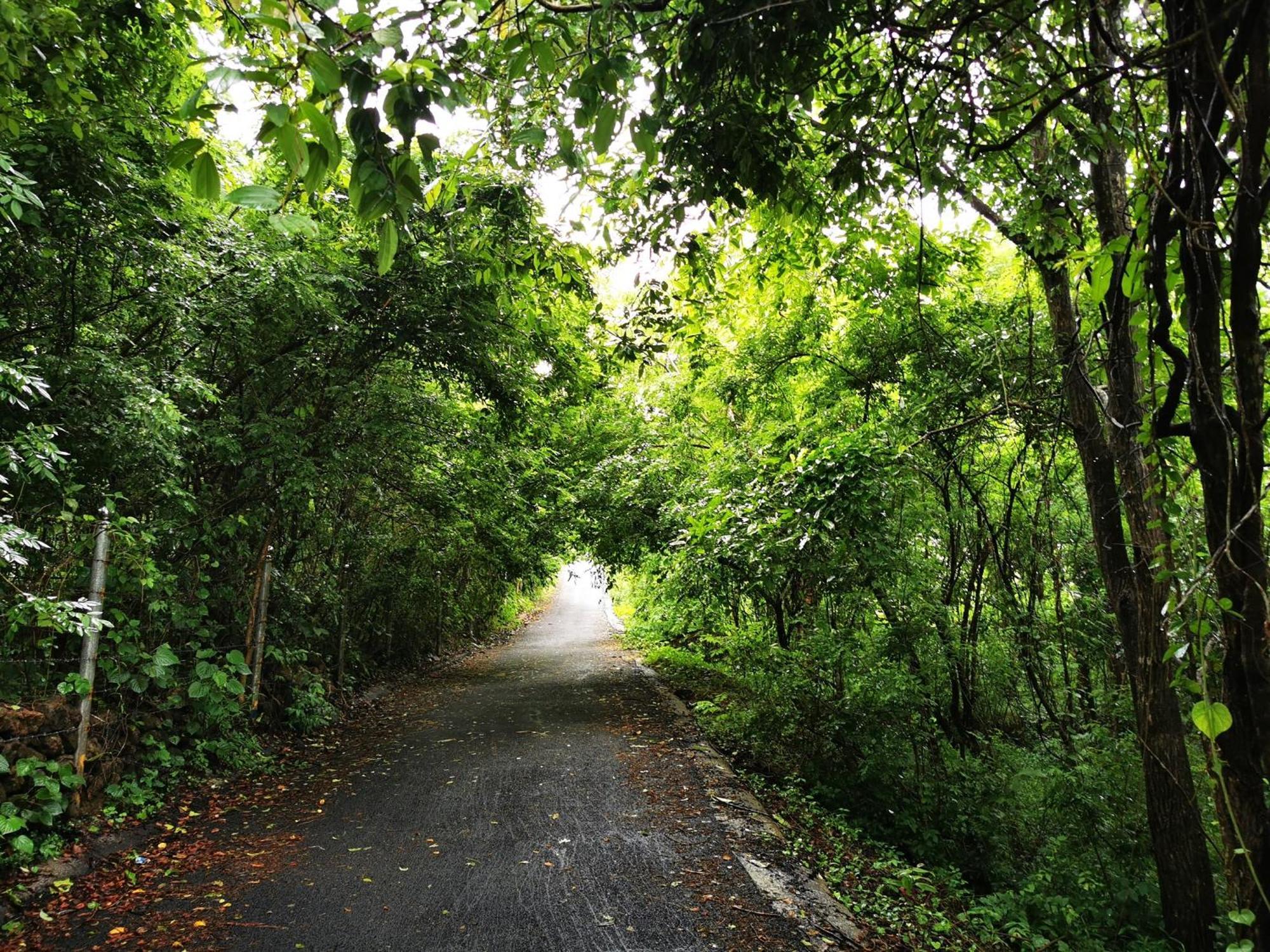 Misty Green Hills Parks & Resorts Kondotty Exterior foto
